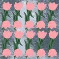 flower tulip spring vector nature tulips flowers floral illustration pink pattern plant card